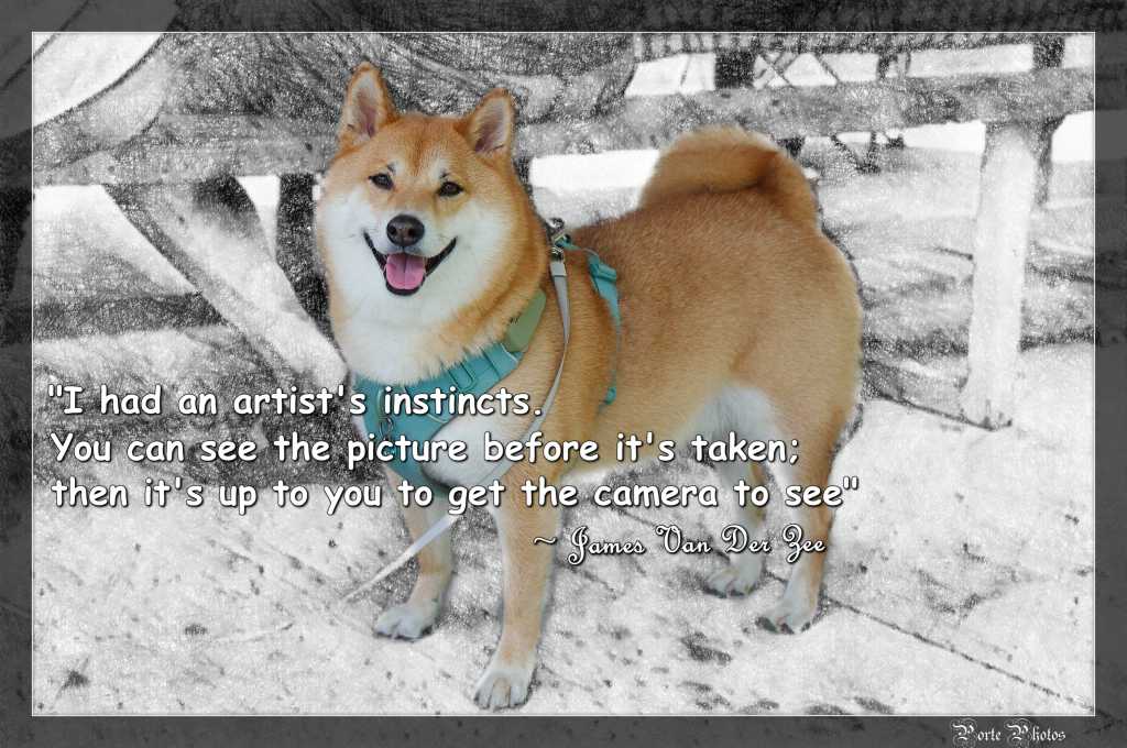 Porte Photos’ Daily Pic: Monday, June 29th, 2026 – International Day of the Tropics&nbsp;History